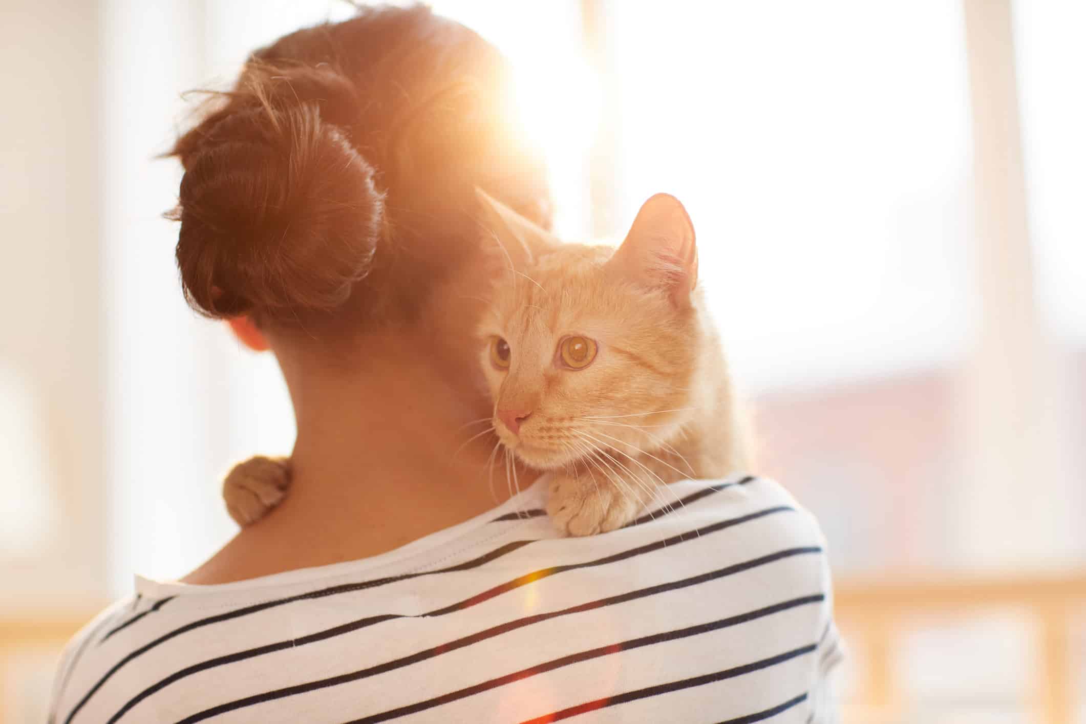 For Pet Owners: What to Expect