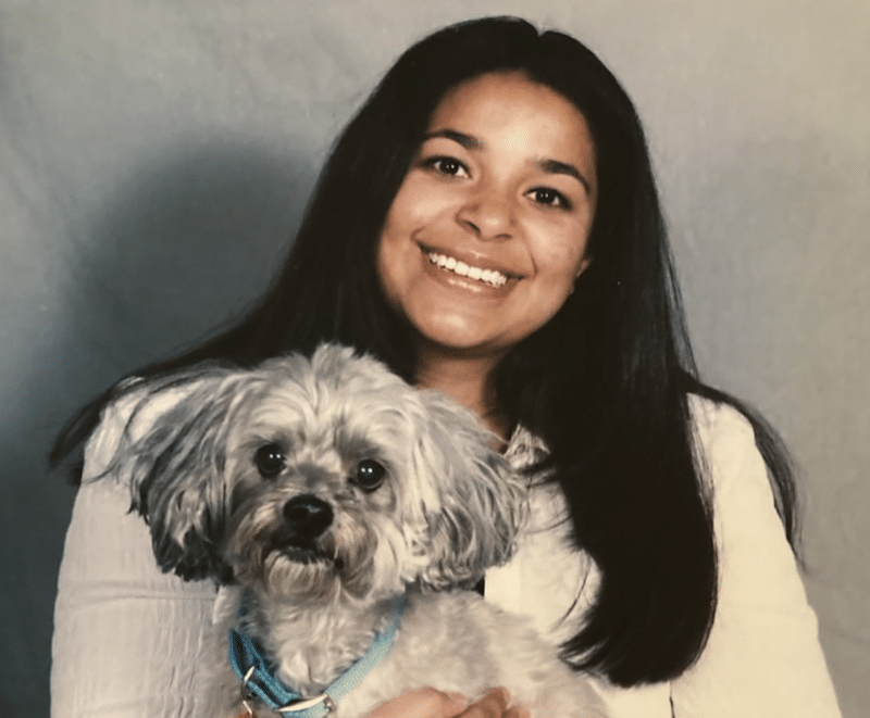 Our Why: Affordable Pet Surgery and Dentistry in Denver